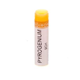 Boiron Pyrogenium 9Ch Globules
