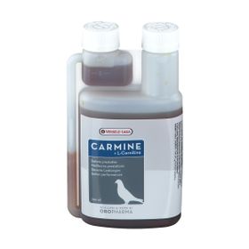 Carmine + L-Carnitine Duiven
