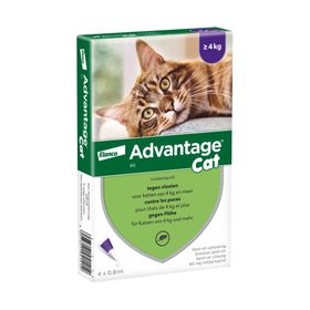 Advantage 80 Spot-On Solution Chat >4kg