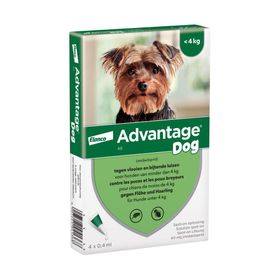 Advantage 40 Dog