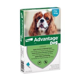 Advantage 100 Spot-On Solution Chien 4 < 10 kg