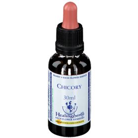 Healing Herbs Chicory