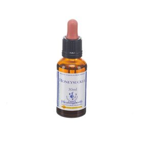 Healing Herbs Honeysuckle