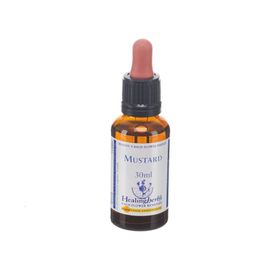 Healing Herbs Mustard