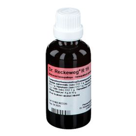 Reckeweg R 19