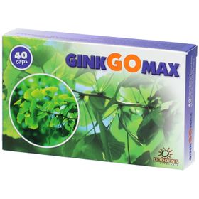 Ginkgomax