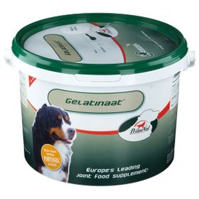 Primeval Gelatinaat Hond