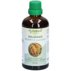 Fytobell Solidago Virgaurea UE
