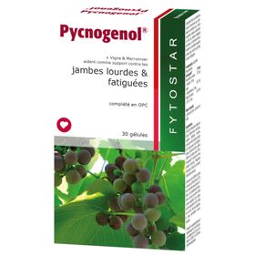 Fytostar Pycnogenol