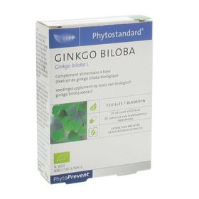 Ginkgo