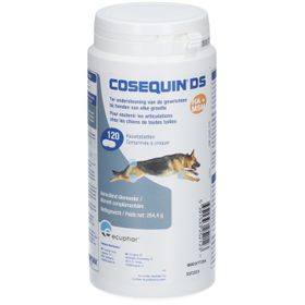 Cosequin DS Chien