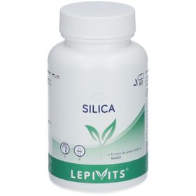 Lepivits® Silica