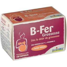 B-IJzer Grossesse