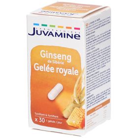 Juvamine Gelée Royale Ginseng de Sibérie