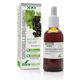 Soria Natural® Ribes Nigrum XXI Extract