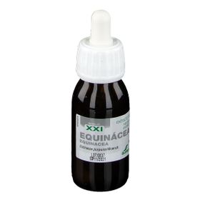 Soria Natural® Echinacea Purpurea XXI