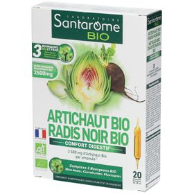 Santarome Artichaut - Radis Noir Bio