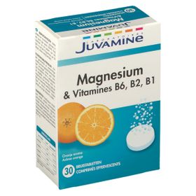 Juvamine Magnésium et Vitamine B6 - B2 - B1