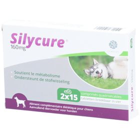 Silycure 160 mg