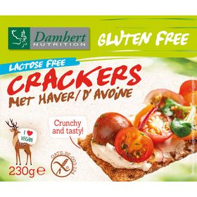 Damhert Glutenvrije Lactosevrije Crackers met Haver