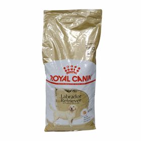 Royal Canin Canine Labrador Retriever