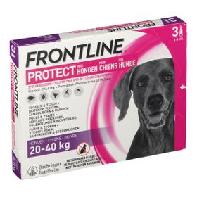 FRONTLINE Protect Spot On Puces et Tiques Chien L