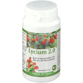 Lycium