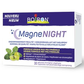 Boiron MagneNIGHT