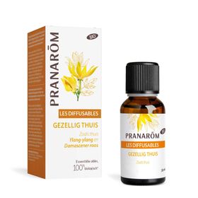 Pranarôm Les Diffusables Gezellig Thuis Bio