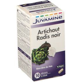 Juvamine Artichaut - Radis Noir