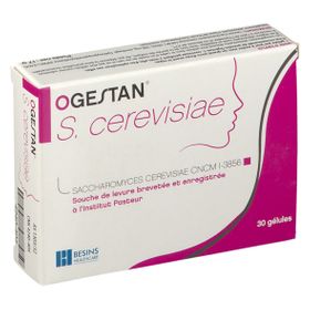 Ogestan S Cerevisiae