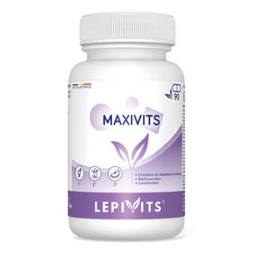 LepiVits MaxiVits