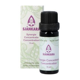 Sjankara Concentratie Synergie