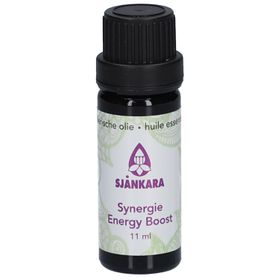 Sjankara Energy Boost Synergie