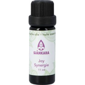 Sjankara Joy Synergie