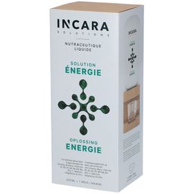 Incara Solutions Solution Énergie