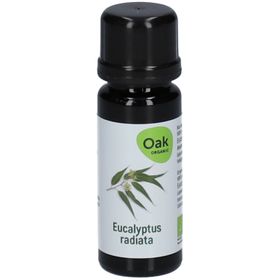 Oak Eucalyptus Radiata Huile Essentielle Bio