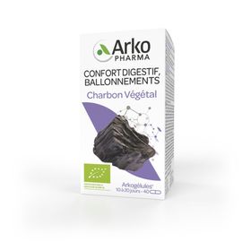 Arkogélules Charbon Végétal Bio
