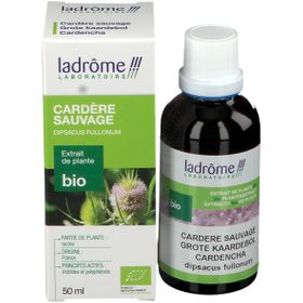 Ladrôme Extrait de Plante Bio Cardère Sauvage