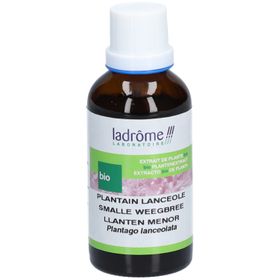 Ladrôme Plantain Lancéolé Extrait Végétal