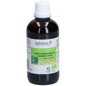 Ladrôme Grande Ortie Extrait Végétal