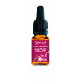 Ladrôme Aigremoine N°1