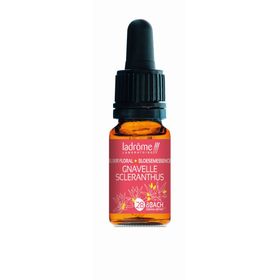 Ladrôme Gnavelle N°28