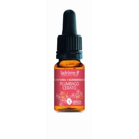 Ladrôme Plumbago N°5 10ml