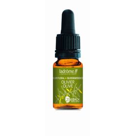 Ladrôme Olijf N°23