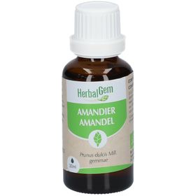 HerbalGem Amande Bio