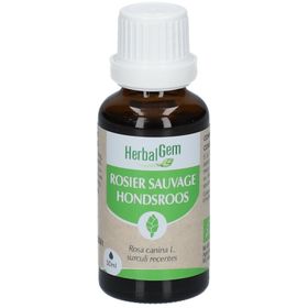 HerbalGem Rosier Sauvage Bio