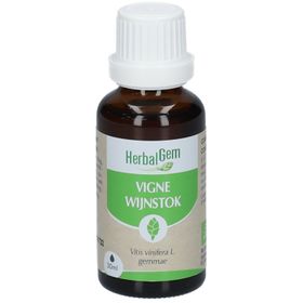 HerbalGem Vigne Bio