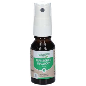 HerbalGem Framboisier Bio