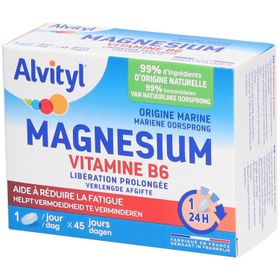 Alvityl® Magnésium Vitamine B6 | Libération Prolongée - Fatigue - 45 Jours